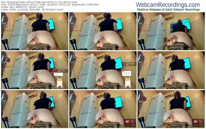 2023/11/24/stripchat-natca20-19-45-13