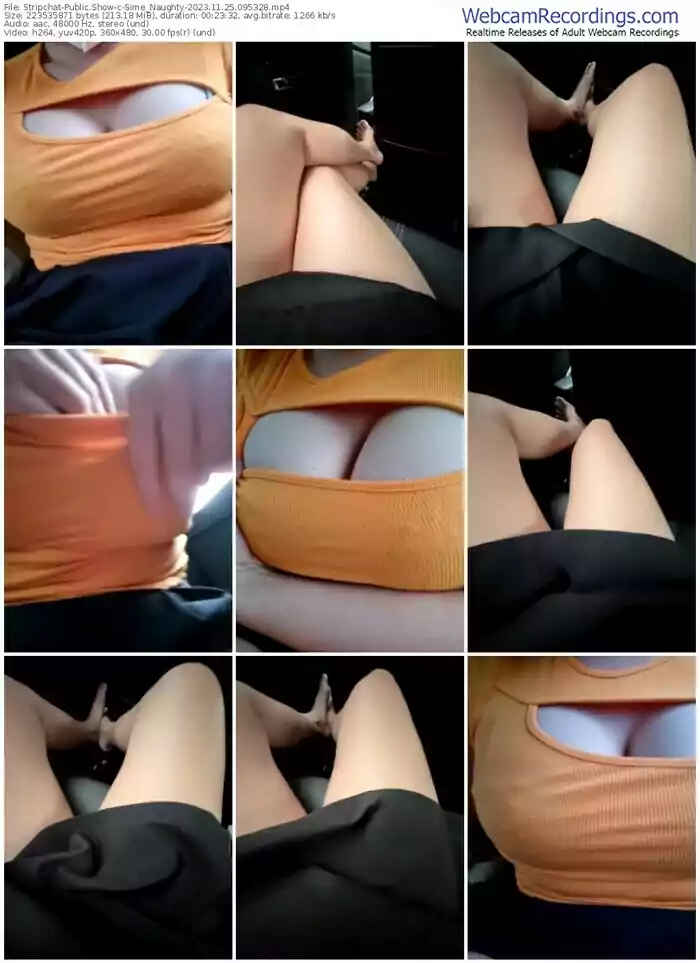 2023/11/25/stripchat-sime_naughty-09-53-28