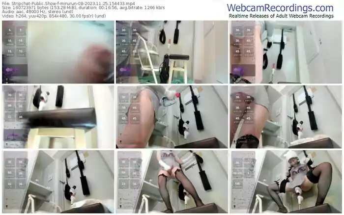 2023/11/25/stripchat-mirurun-08-15-44-33