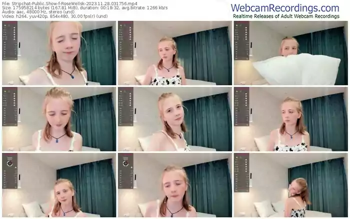 2023/11/28/stripchat-rosewellsk-03-17-56