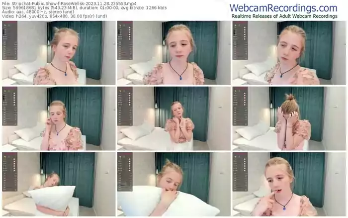 2023/11/28/stripchat-rosewellsk-23-55-53