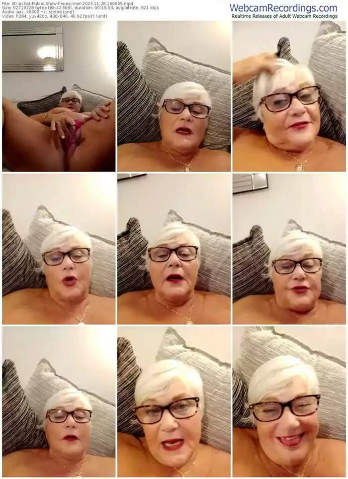 2023/11/28/stripchat-suesinner-16-06-05