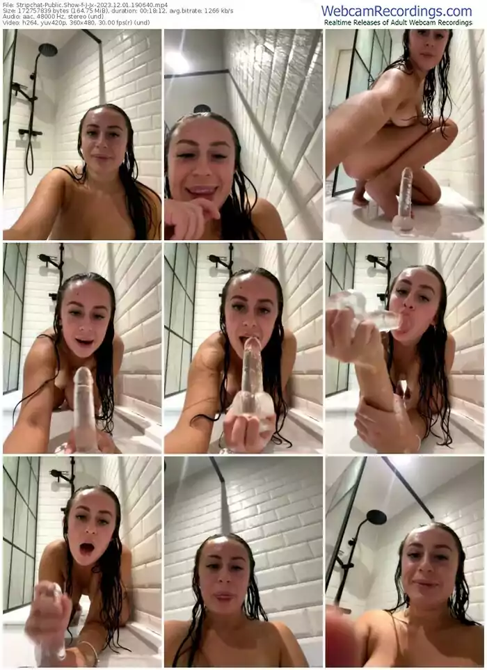 2023/12/01/stripchat-j-jx-19-06-40