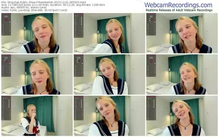 2023/12/01/stripchat-rosewellsk-00-55-25