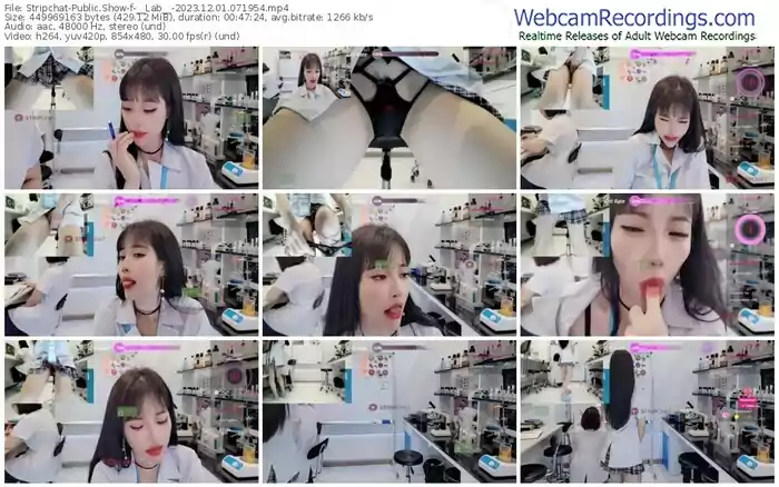 2023/12/01/stripchat-__lab__-07-19-54