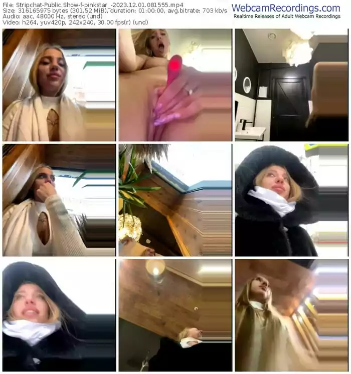 2023/12/01/stripchat-pinkstar_-08-15-55