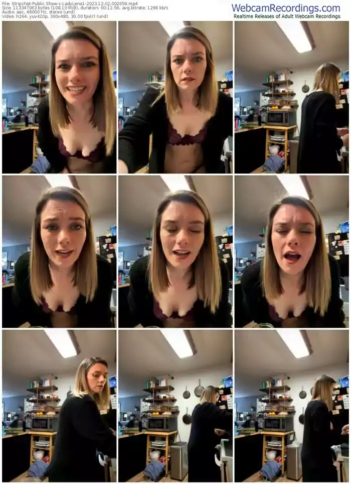 2023/12/02/stripchat-ladylena1-00-26-59