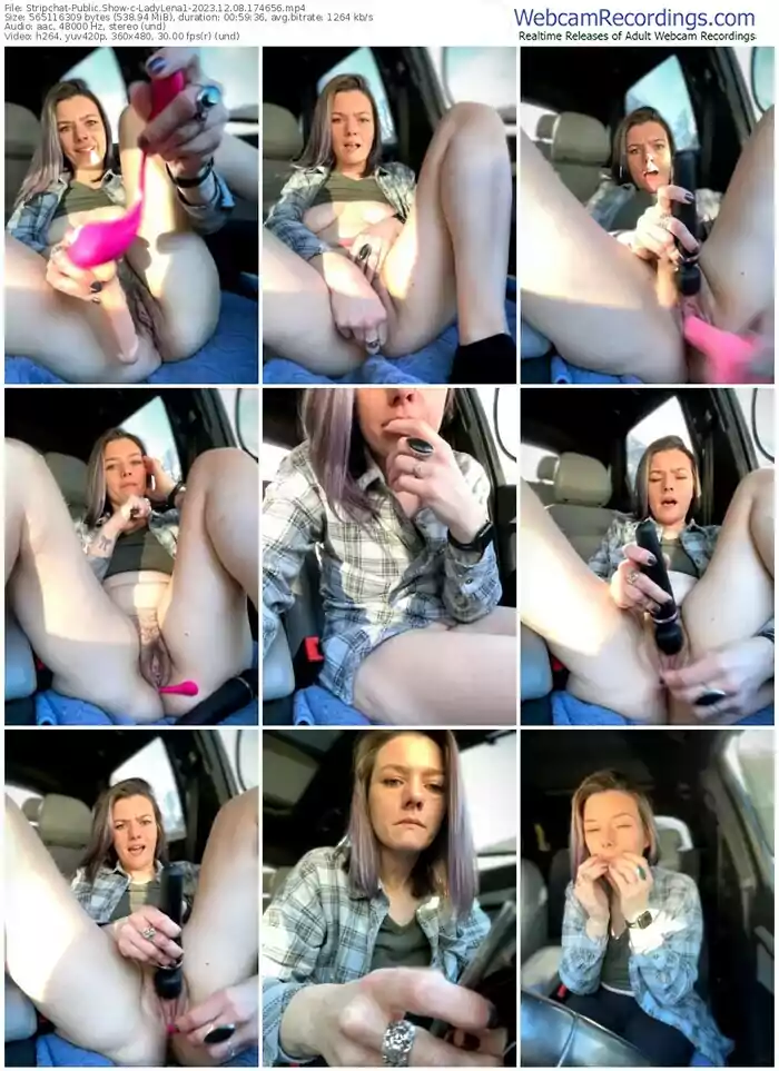 2023/12/08/stripchat-ladylena1-17-46-56