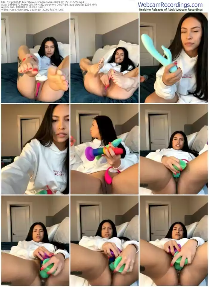 2023/12/15/stripchat-shaarebaare-17-15-05