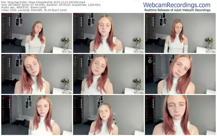 2023/12/15/stripchat-rosewellsk-03-22-44