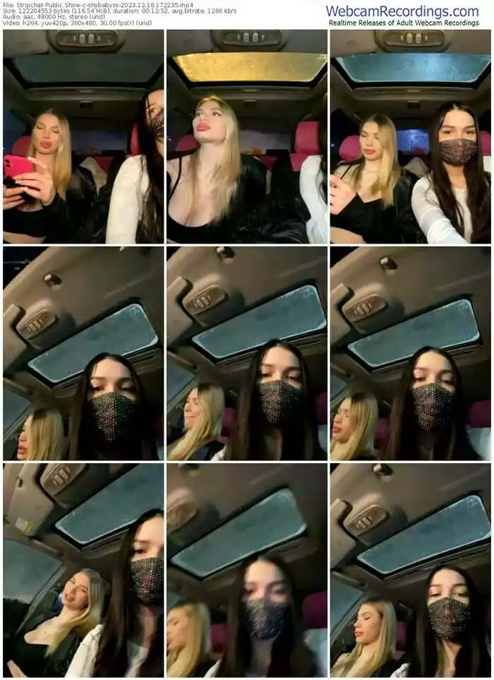 2023/12/16/stripchat-shybabyss-17-22-35