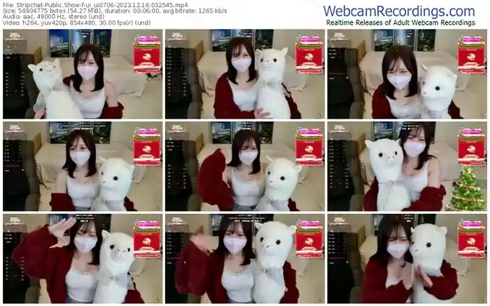 2023/12/16/stripchat-ui_ui0706-03-25-45