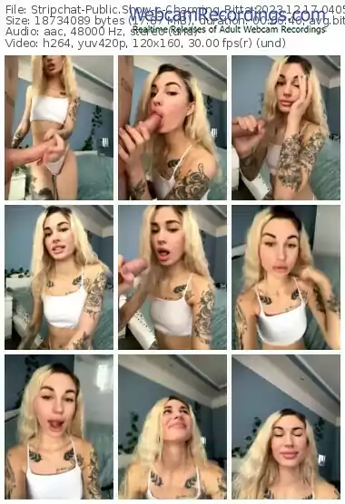 2023/12/17/stripchat-charming_ritta-04-05-00