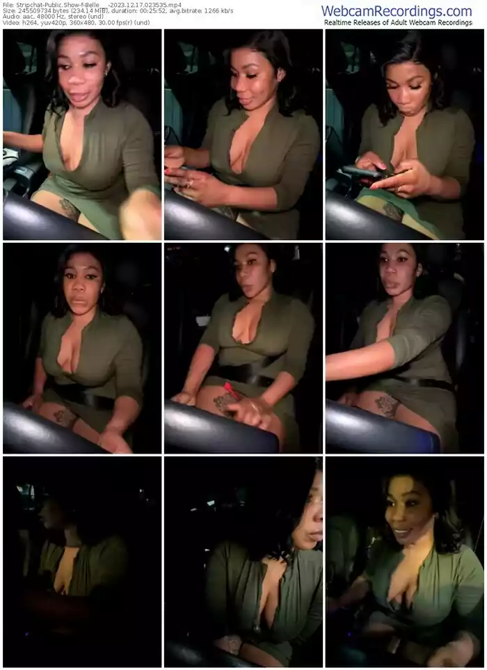 2023/12/17/stripchat-belle___-02-35-35