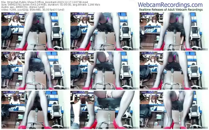 2023/12/17/stripchat-office_assistant-11-07-38