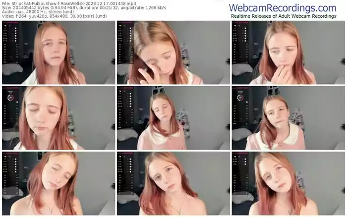 2023/12/17/stripchat-rosewellsk-00-14-48