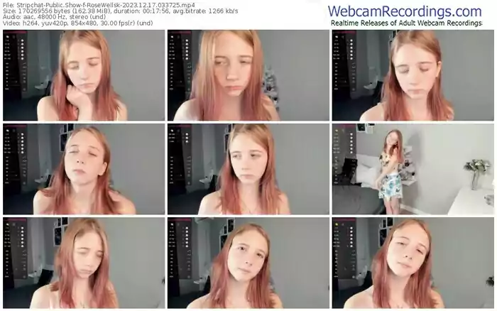 2023/12/17/stripchat-rosewellsk-03-37-25
