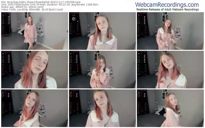 2023/12/17/stripchat-rosewellsk-19-53-38