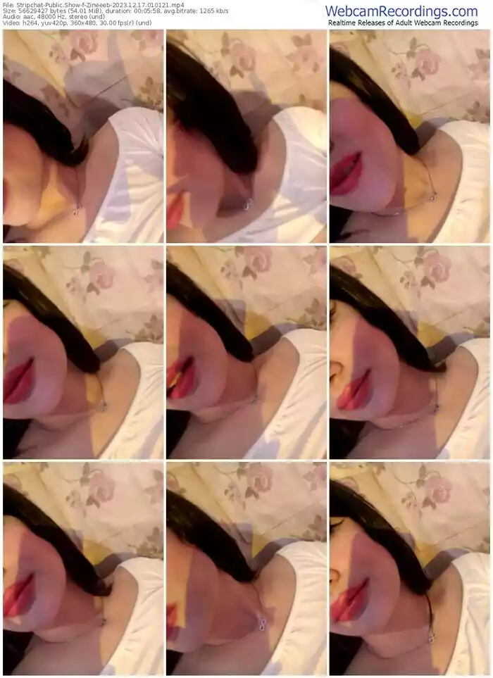 2023/12/17/stripchat-zineeeb-01-01-21