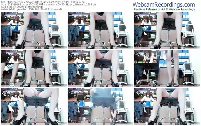 2023/12/19/stripchat-office_assistant-11-02-14