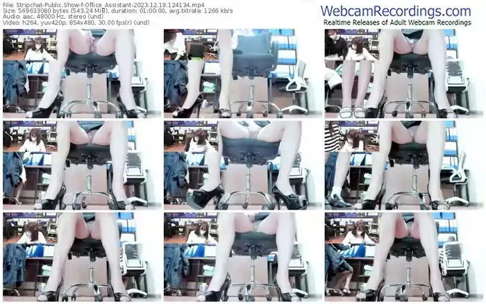 2023/12/19/stripchat-office_assistant-12-41-34