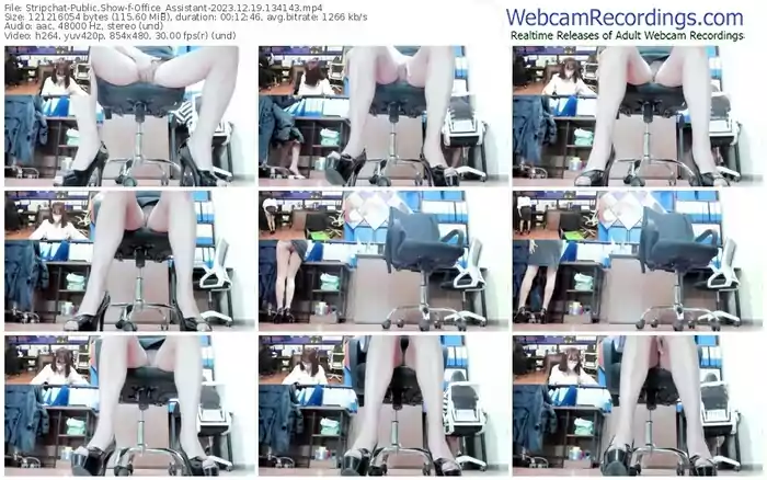 2023/12/19/stripchat-office_assistant-13-41-43