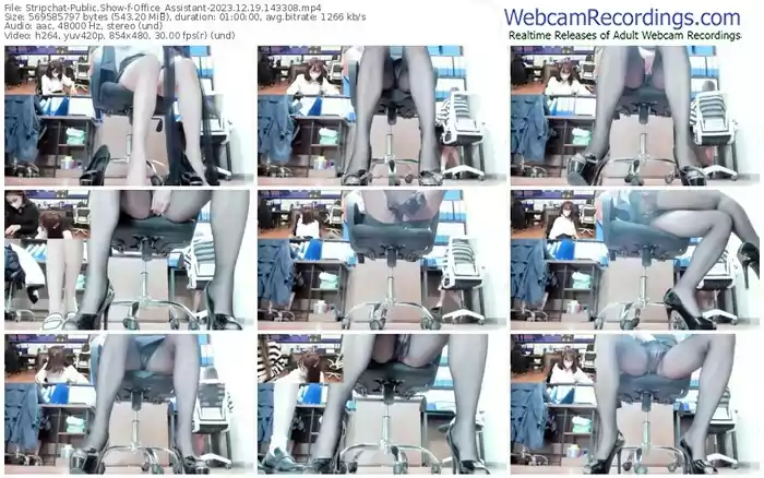 2023/12/19/stripchat-office_assistant-14-33-08