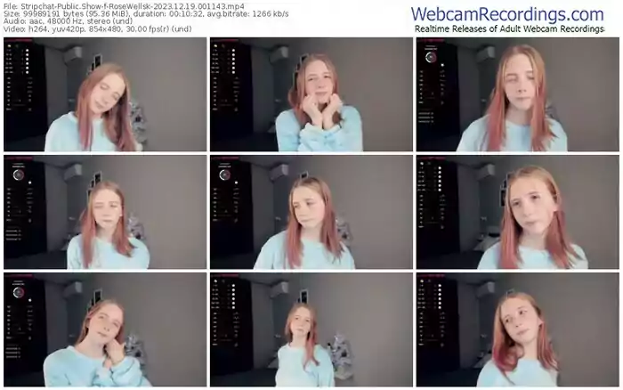 2023/12/19/stripchat-rosewellsk-00-11-43