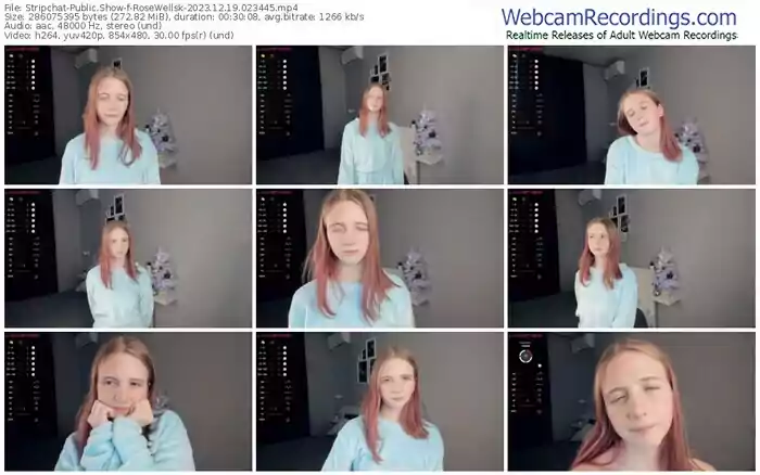 2023/12/19/stripchat-rosewellsk-02-34-45