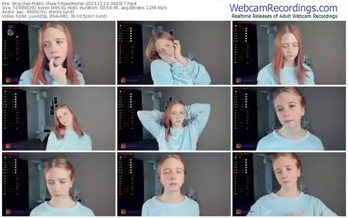 2023/12/19/stripchat-rosewellsk-04-03-17