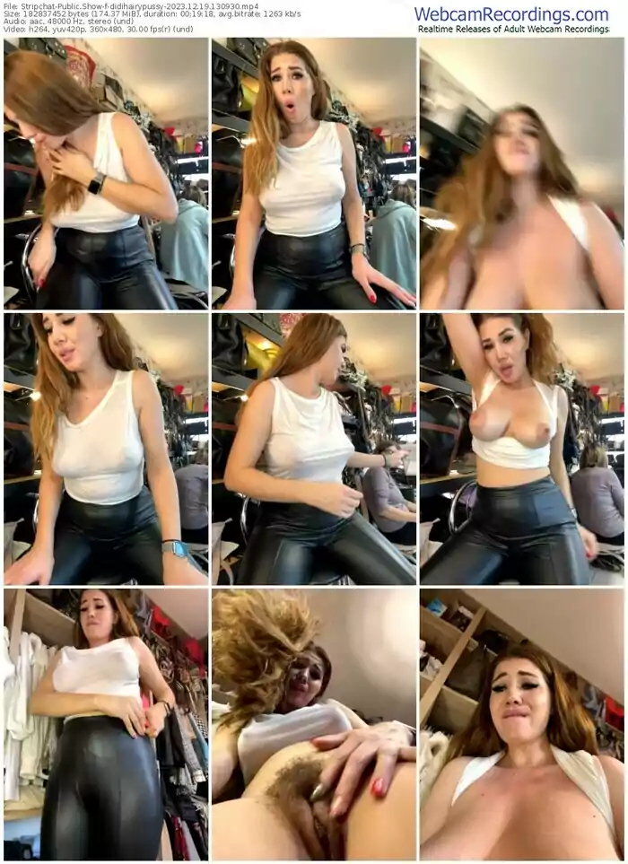 2023/12/19/stripchat-didihairypussy-13-09-30