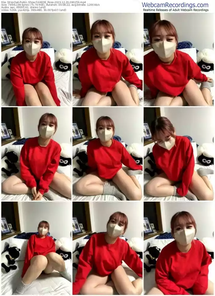 2023/12/20/stripchat-kaede_rose-09-02-59