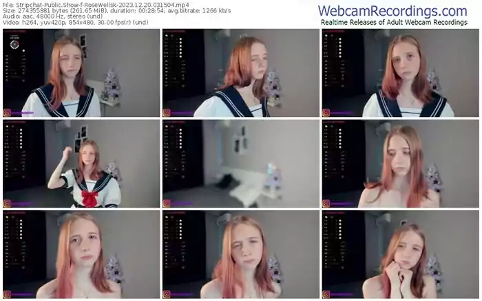 2023/12/20/stripchat-rosewellsk-03-15-04