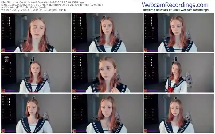 2023/12/20/stripchat-rosewellsk-04-03-26