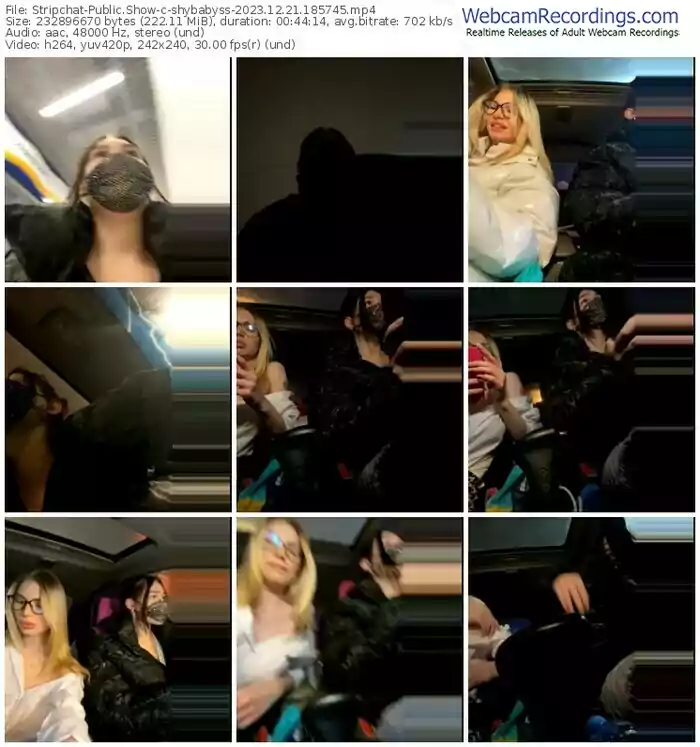 2023/12/21/stripchat-shybabyss-18-57-45