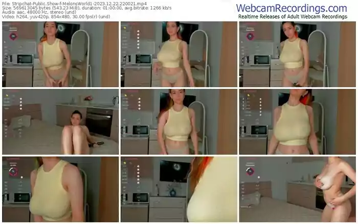 2023/12/22/stripchat-melonsworld1-22-00-21