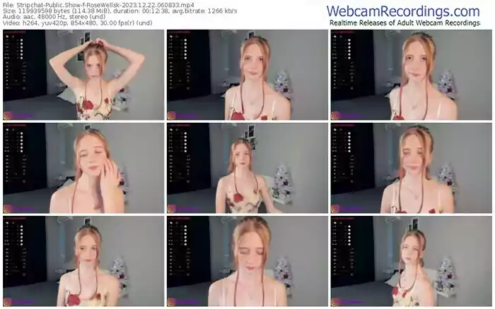 2023/12/22/stripchat-rosewellsk-06-08-33