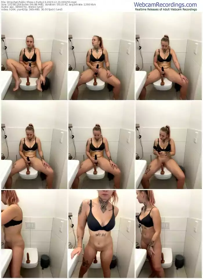 2023/12/23/stripchat-furby13-00-32-53