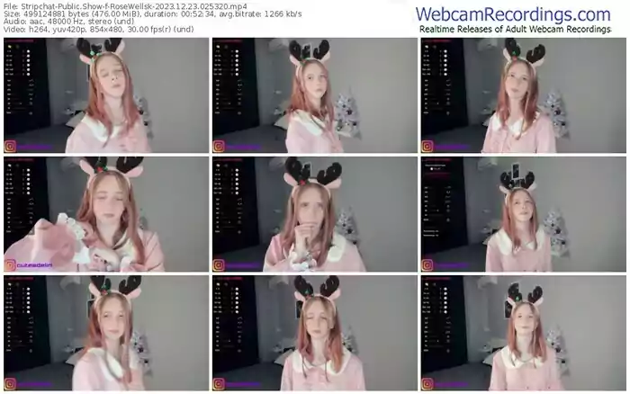 2023/12/23/stripchat-rosewellsk-02-53-20