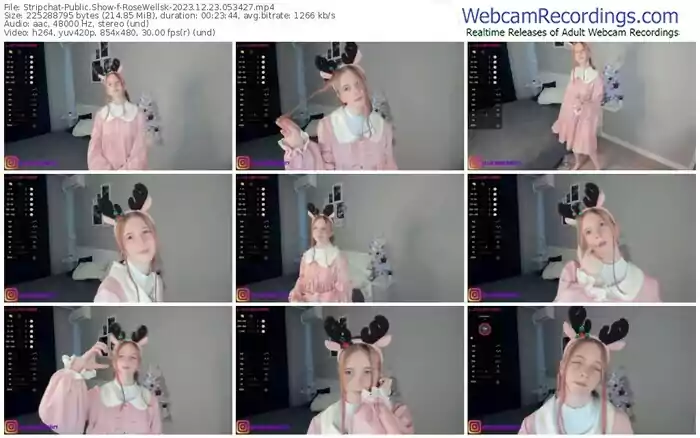 2023/12/23/stripchat-rosewellsk-05-34-27