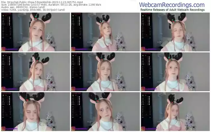2023/12/23/stripchat-rosewellsk-06-57-51