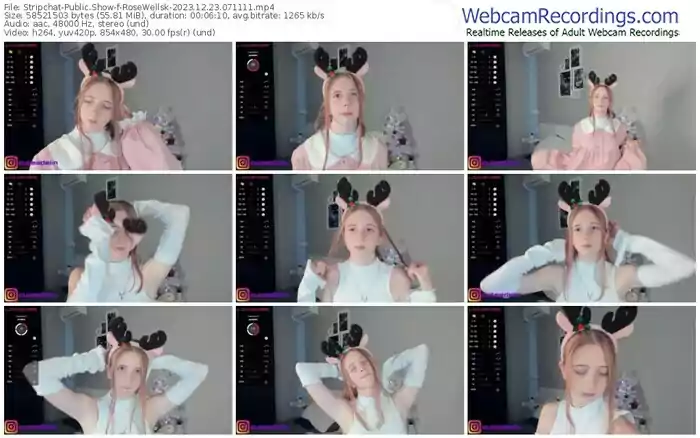 2023/12/23/stripchat-rosewellsk-07-11-11