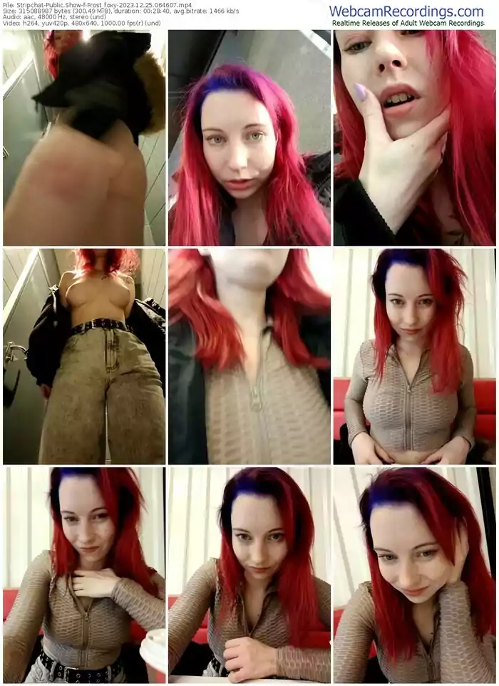 2023/12/25/stripchat-frost_foxy-06-46-07