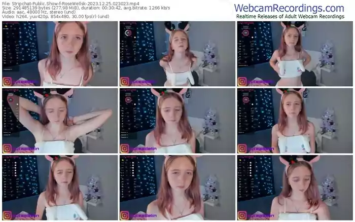 2023/12/25/stripchat-rosewellsk-02-30-23