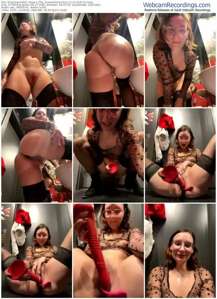 2023/12/26/stripchat-the_snowwhitee-20-47-21