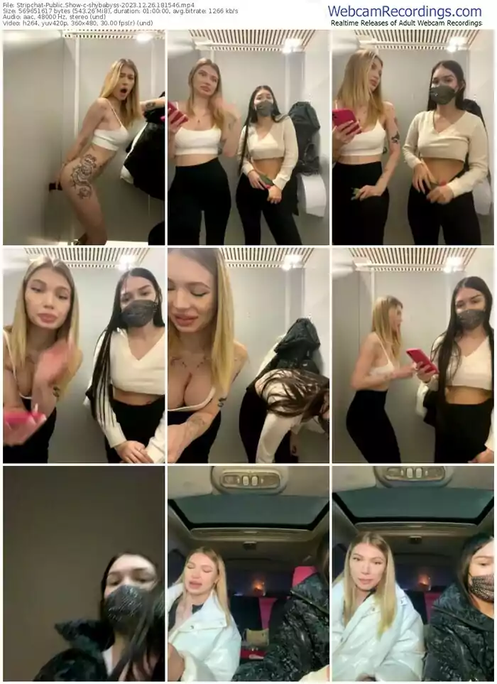 2023/12/26/stripchat-shybabyss-18-15-46