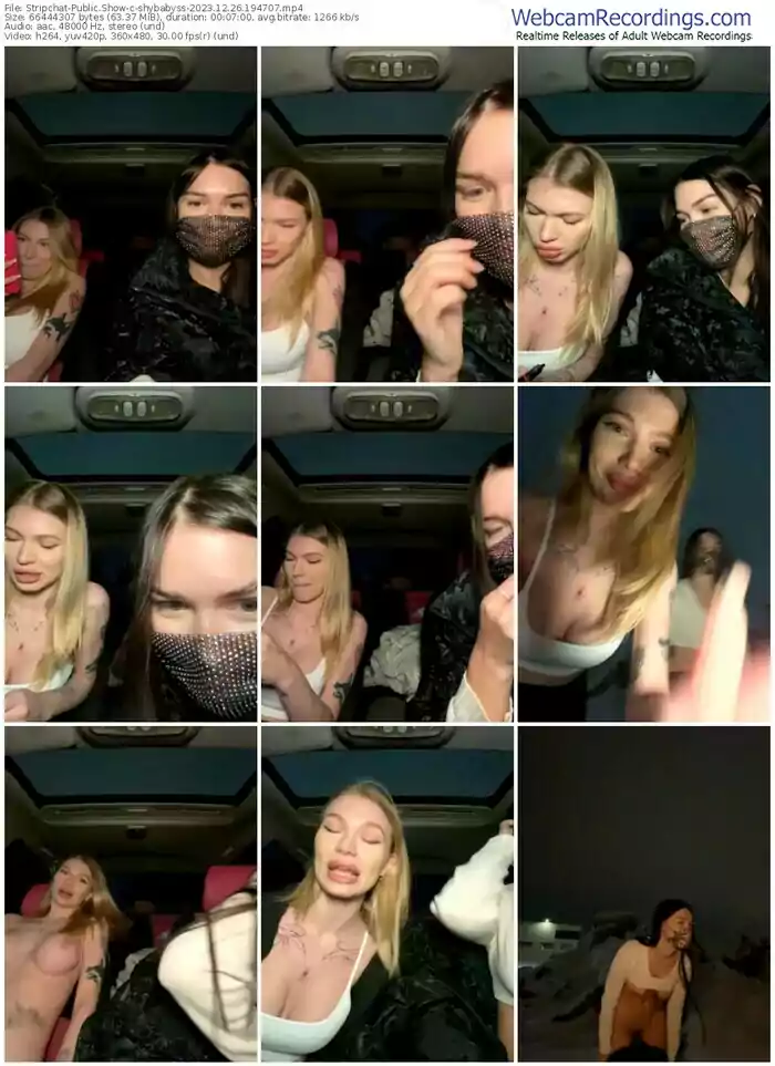 2023/12/26/stripchat-shybabyss-19-47-07