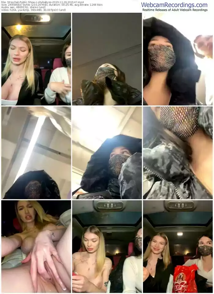 2023/12/26/stripchat-shybabyss-20-21-47
