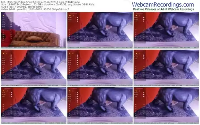 2023/12/26/stripchat-610heizhen-09-46-42
