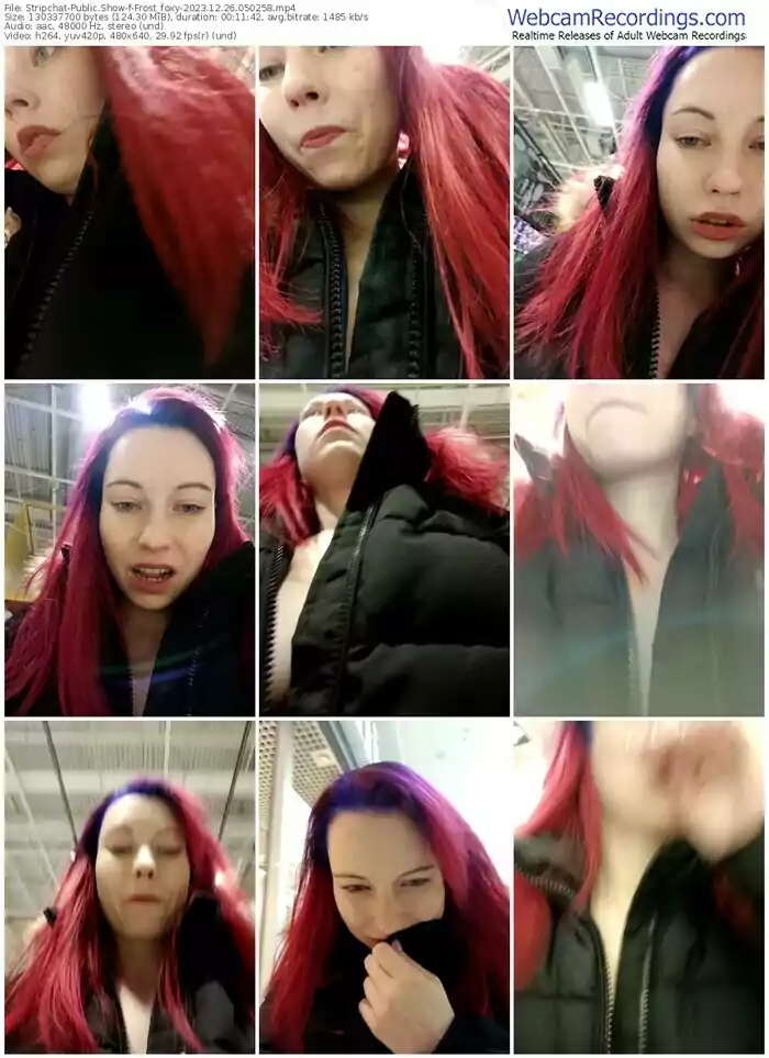 2023/12/26/stripchat-frost_foxy-05-02-58